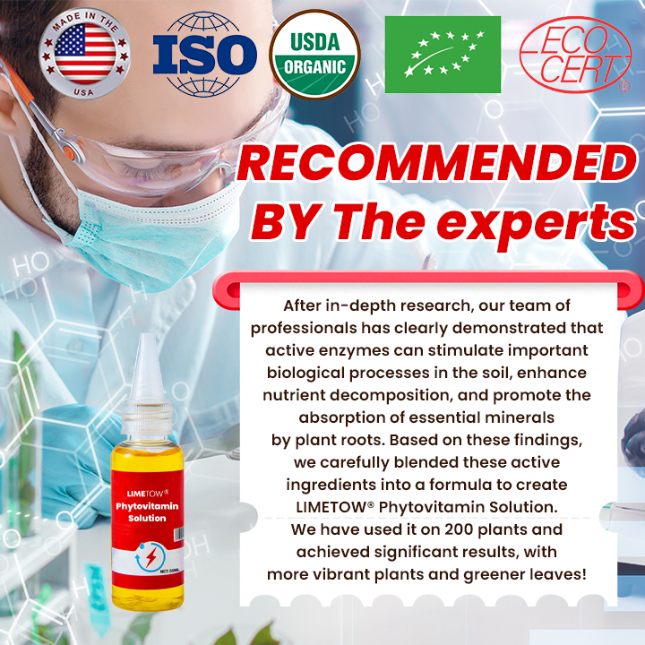 LIMETOW® Phytovitamin Solution