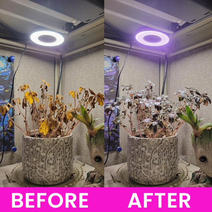 LIMETOW® Full Spectrum Clip Plant Growing Light