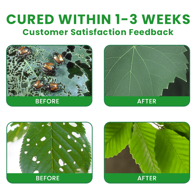 Official Store: LIMETOW® Plant Pesticide