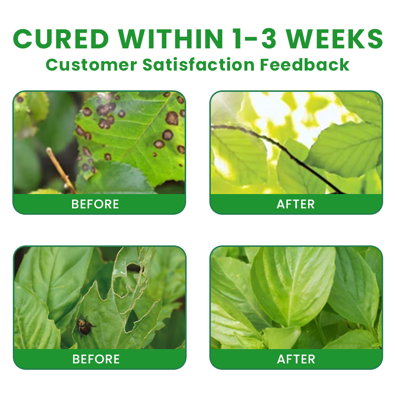 Official Store: LIMETOW® Plant Pesticide