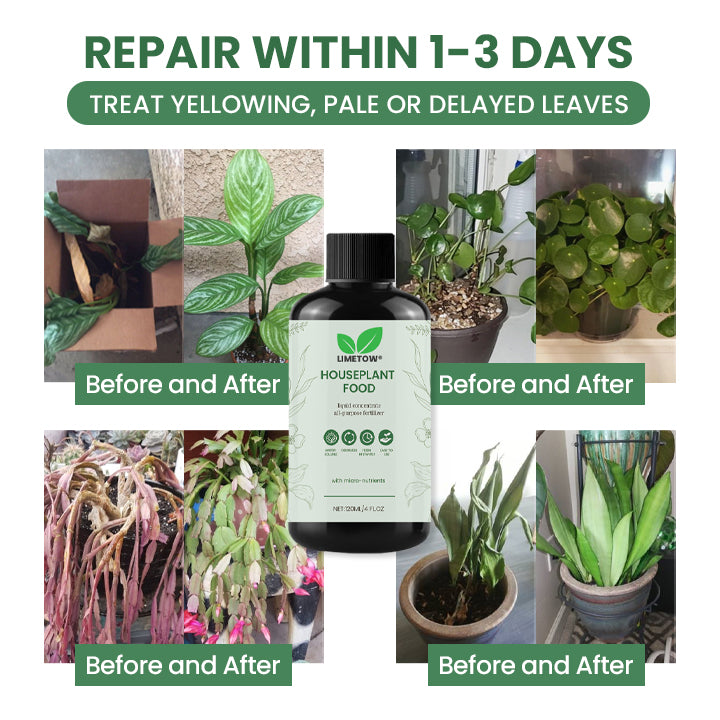 LIMETOW® House Plant Food