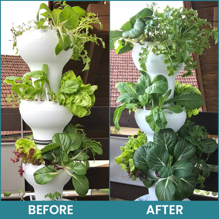 Official Store: LIMETOW® Hydroponic Plant Nutrient Solution