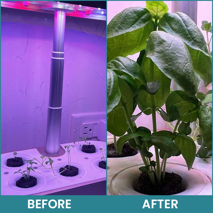 Official Store: LIMETOW® Hydroponic Plant Nutrient Solution