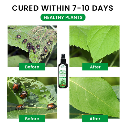 Official Store: LIMETOW® Plant Pesticide