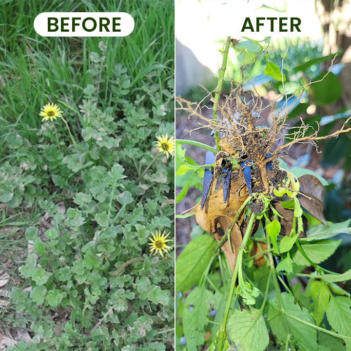 LIMETOW® Weed Pulling Tool -Eliminate Weeds From the Root