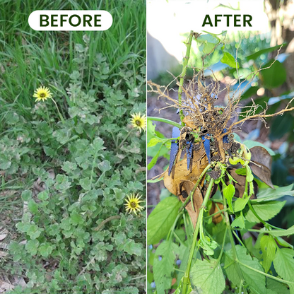 LIMETOW® Weed Pulling Tool -Eliminate Weeds From the Root
