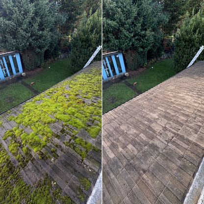 LIMETOW® MOSS REMOVER VS. ORDINARY OUTDOOR CLEANERS