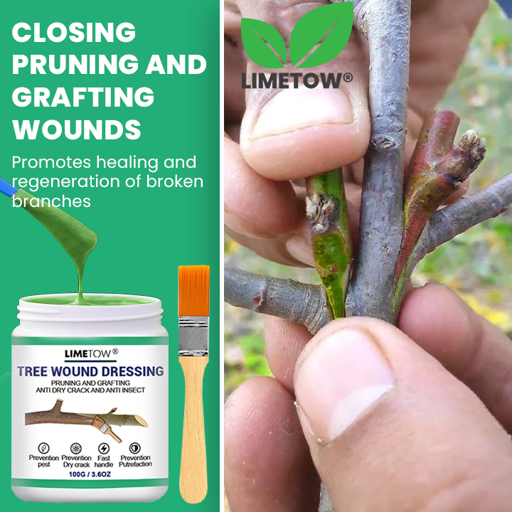 Official Store: LIMETOW® Tree Wound Dressing
