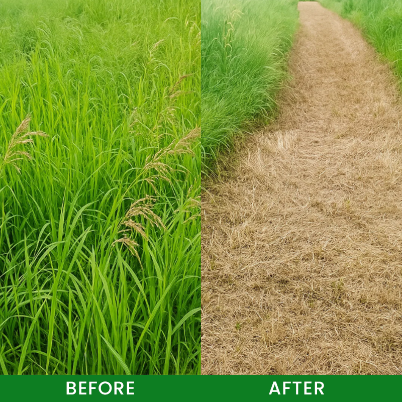 LIMETOW® Weed Remover