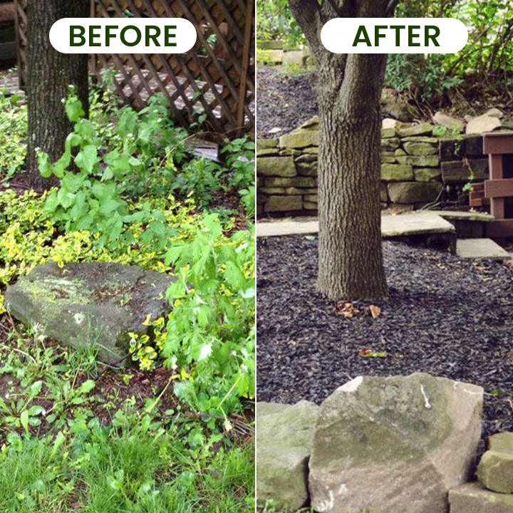 LIMETOW® Weed Pulling Tool -Eliminate Weeds From the Root