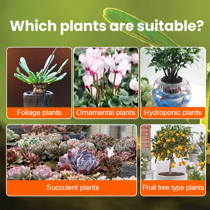 Official Store: LIMETOW® Rapid Rooting Liquid