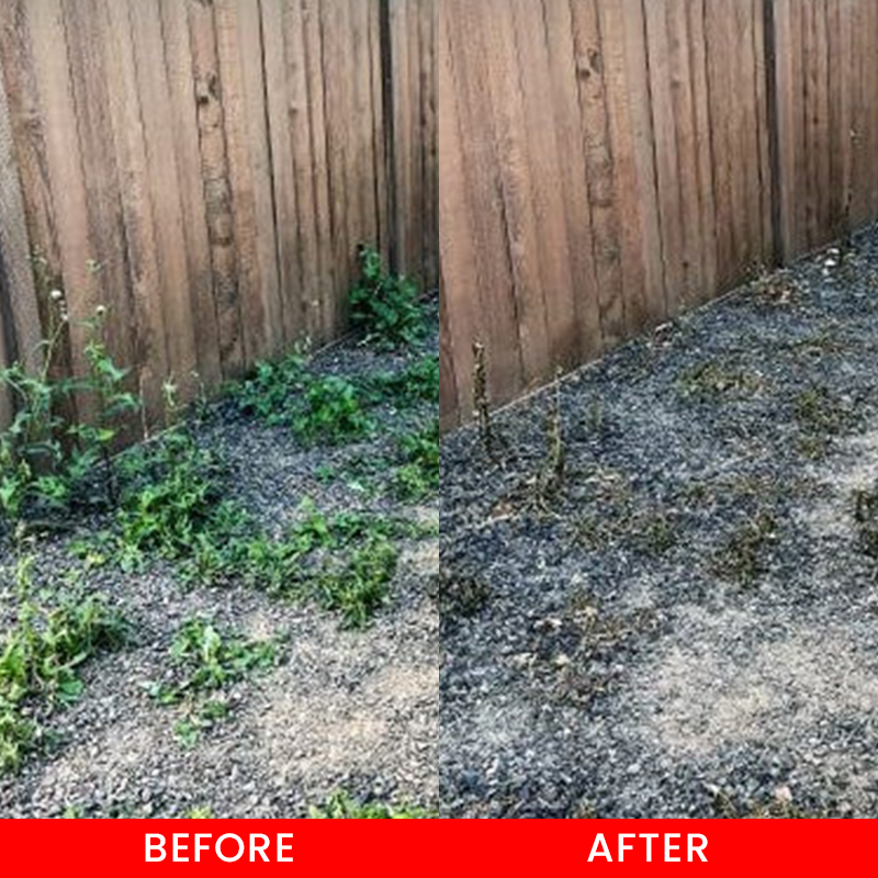 LIMETOW® Cyclosinone Herbicide Water Dispersible Granules