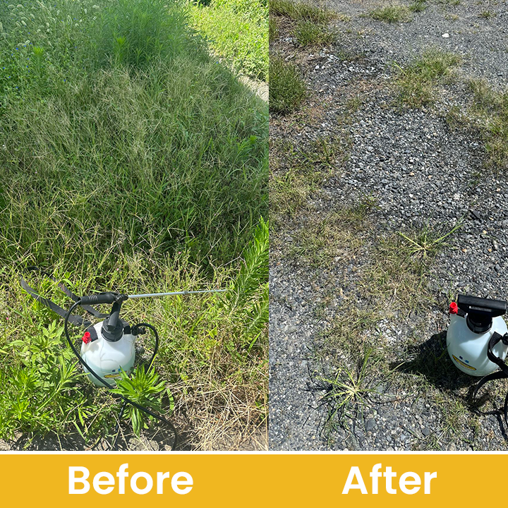 LIMETOW® Glufosinate Ammonium Salt Herbicide Agent