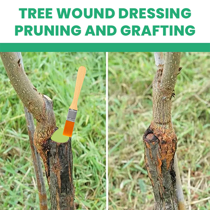 Official Store: LIMETOW® Tree Wound Dressing