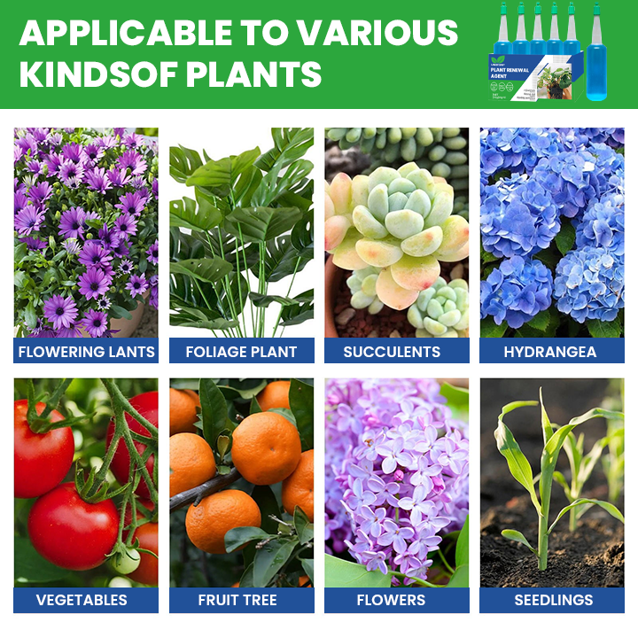 LIMETOW® Plant Renewal Agent