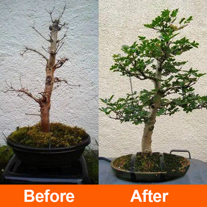 Official Store: LIMETOW® Rapid Rooting Liquid