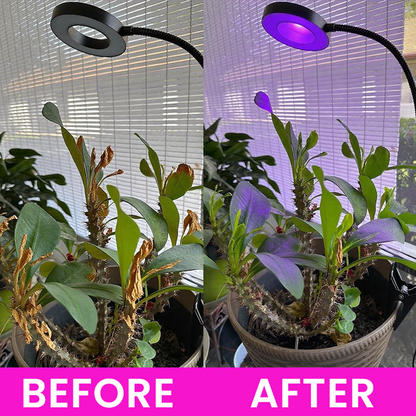 LIMETOW® Full Spectrum Clip Plant Growing Light