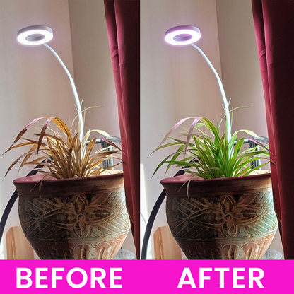 LIMETOW® Full Spectrum Clip Plant Growing Light