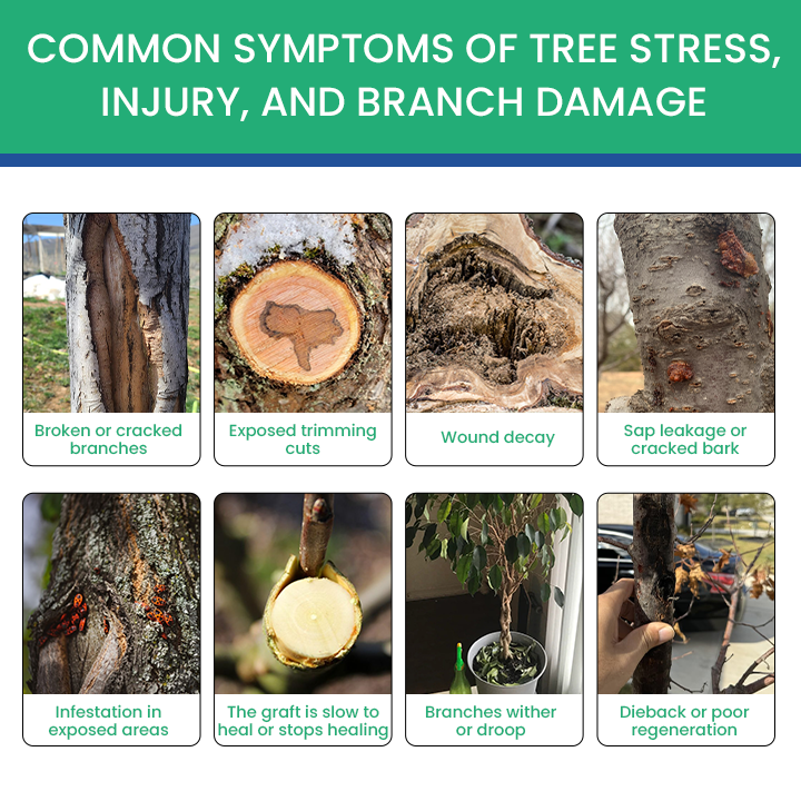 Official Store: LIMETOW® Tree Wound Dressing