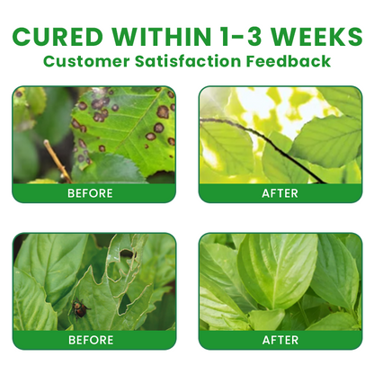 Official Store: LIMETOW® Plant Pesticide