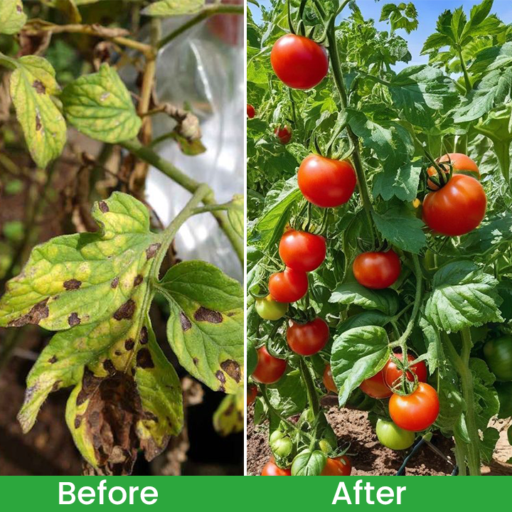 LIMETOW® Plant Renewal Agent