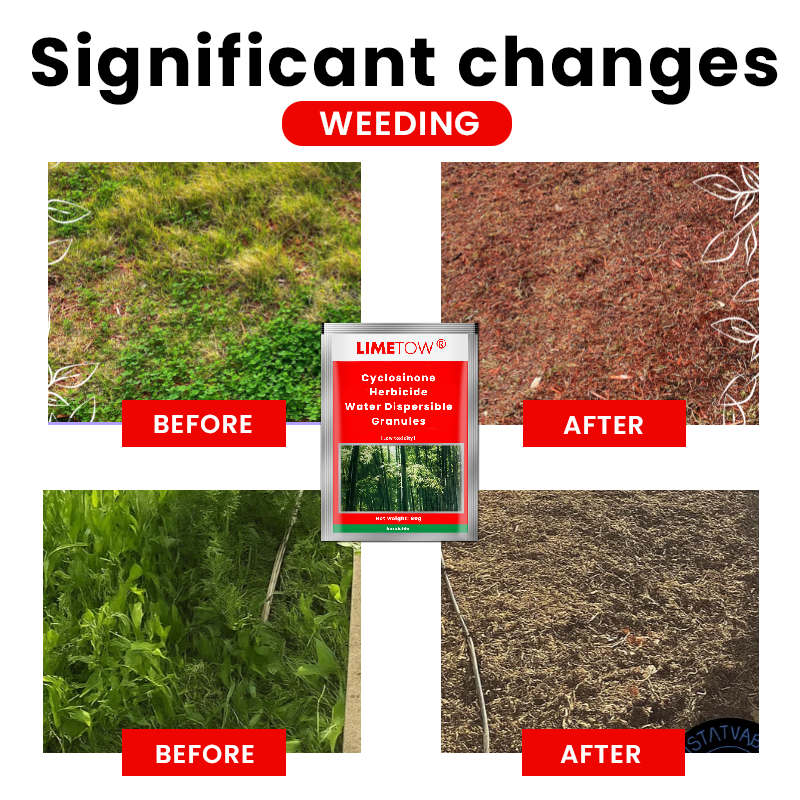 LIMETOW® Cyclosinone Herbicide Water Dispersible Granules