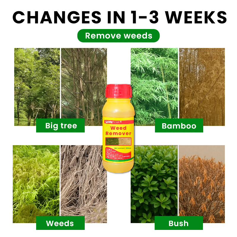 LIMETOW® Weed Remover