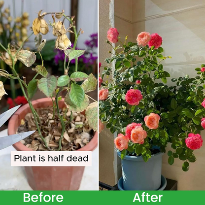 LIMETOW® Plant Renewal Agent