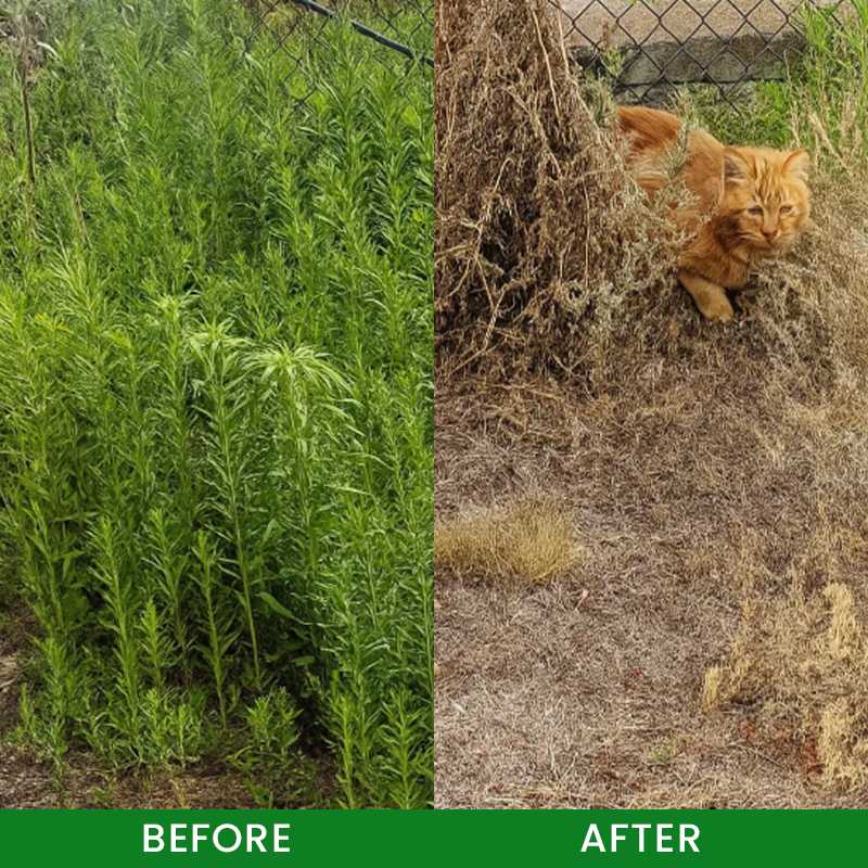 LIMETOW® Weed Remover