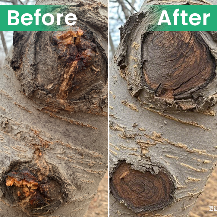 Official Store: LIMETOW® Tree Wound Dressing