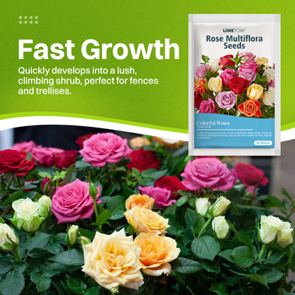 LIMETOW® Rose Multiflora Seeds