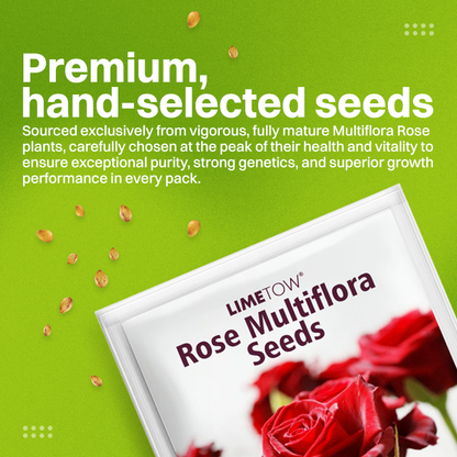 LIMETOW® Rose Multiflora Seeds