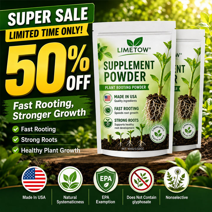 Official US Store LIMETOW® Plant Energy Bar