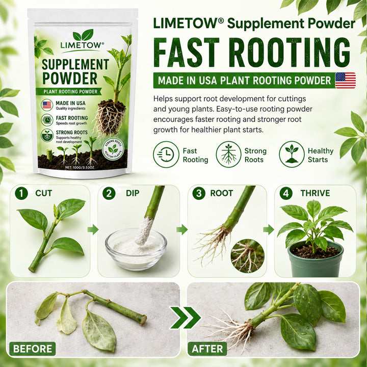 Official US Store LIMETOW® Plant Energy Bar