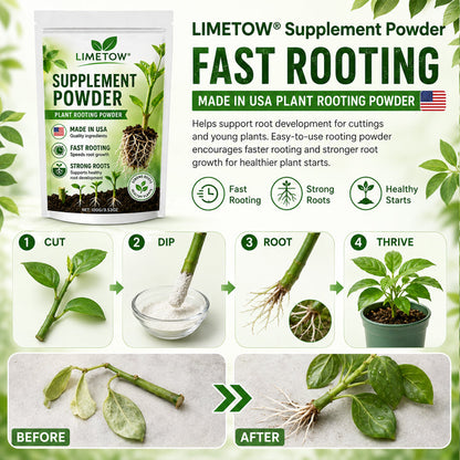 Official US Store LIMETOW® Plant Energy Bar