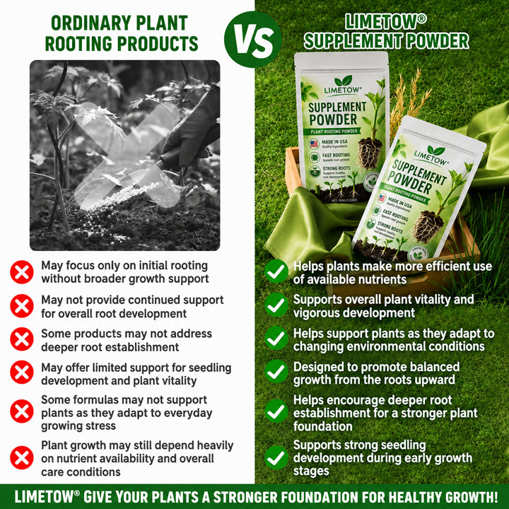 Official US Store LIMETOW® Plant Energy Bar