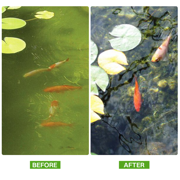 LIMETOW® Mixed Feed Additive Powder