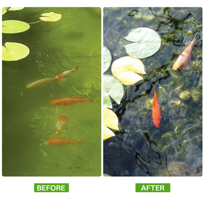 LIMETOW® Mixed Feed Additive Powder