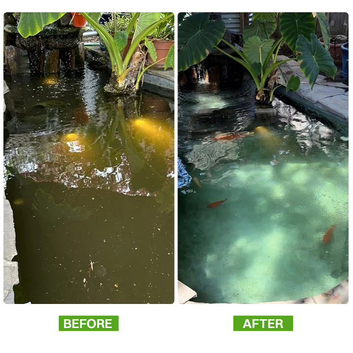 LIMETOW® Mixed Feed Additive Powder