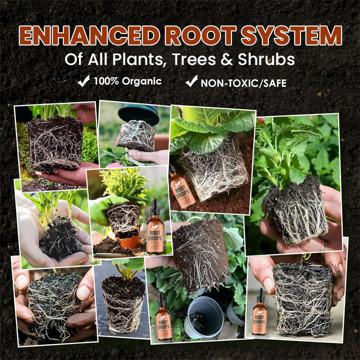 LIMETOW® Root Drops