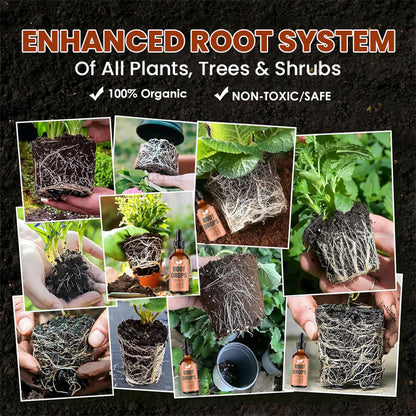 LIMETOW® Root Drops