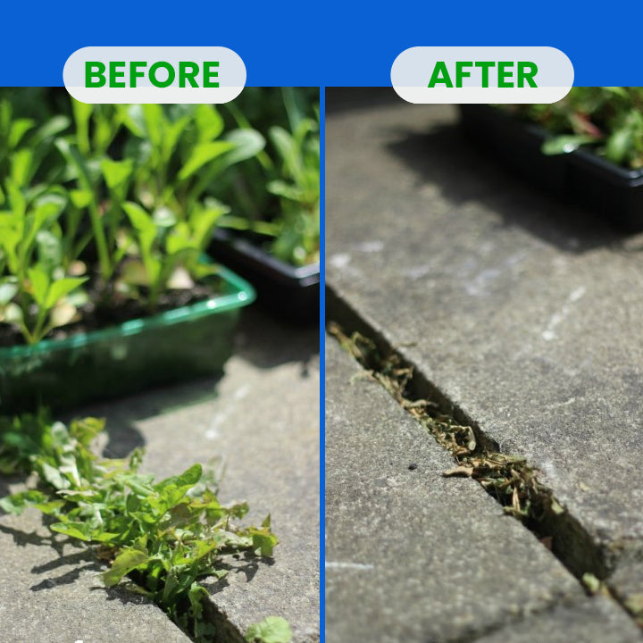 LIMETOW® Fluazifop-Butyl Herbicide