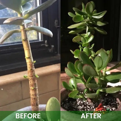 LIMETOW® Organic Plant Boost Biofertilizer