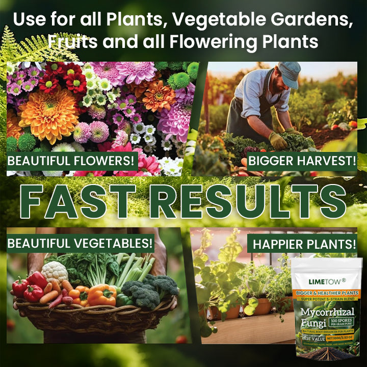 LIMETOW® Plant Root Nutrient Powder