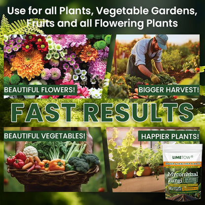 LIMETOW® Plant Root Nutrient Powder