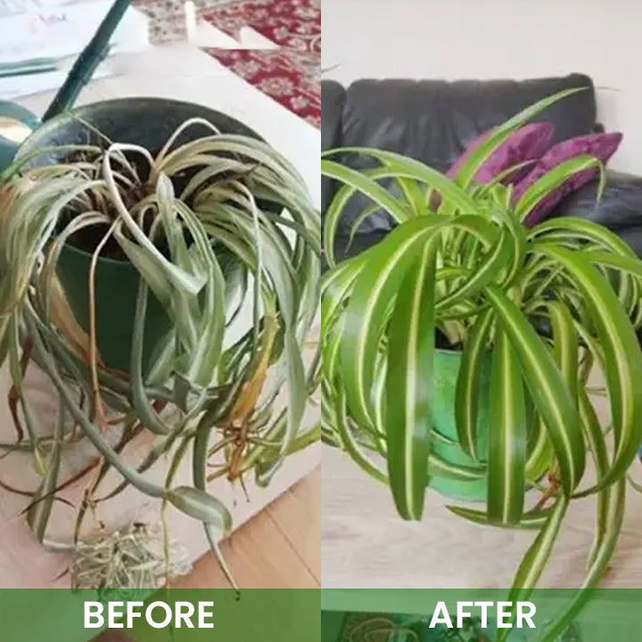 LIMETOW® Organic Plant Boost Biofertilizer