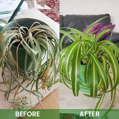 LIMETOW® Organic Plant Boost Biofertilizer