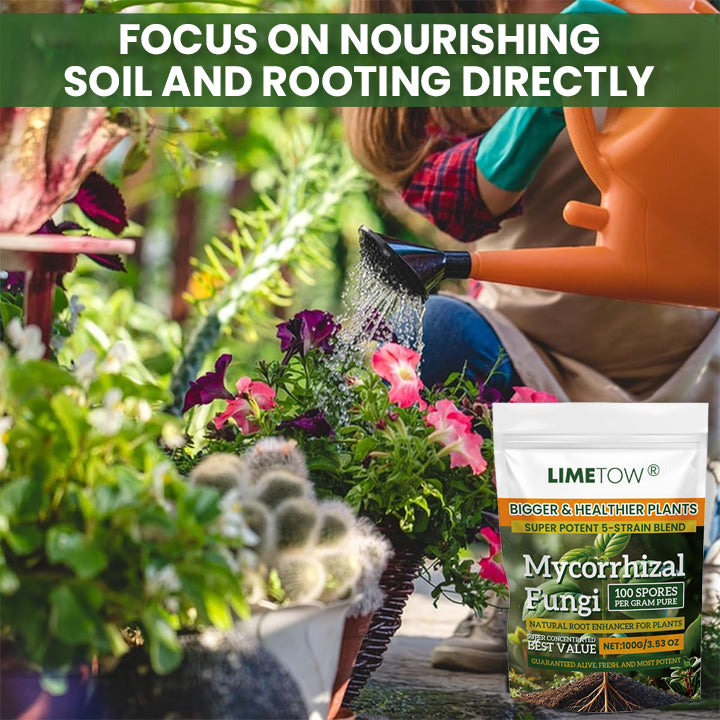 LIMETOW® Plant Root Nutrient Powder