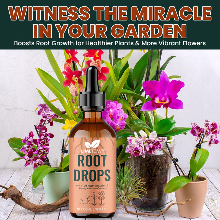 LIMETOW® Root Drops