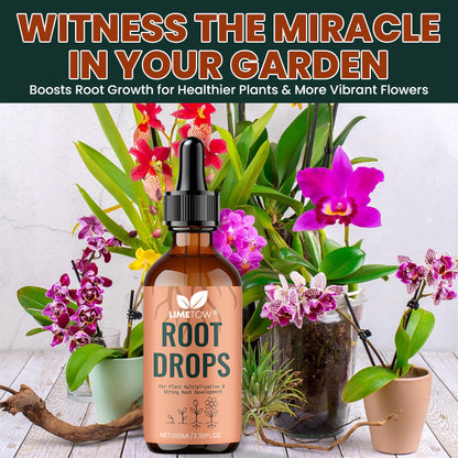 LIMETOW® Root Drops